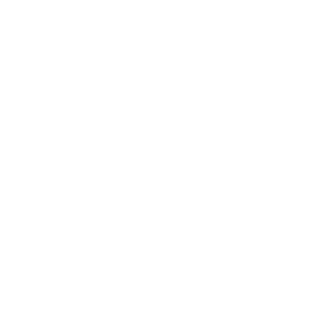 logo switch
